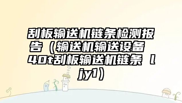 刮板輸送機(jī)鏈條檢測報(bào)告（輸送機(jī)輸送設(shè)備 40t刮板輸送機(jī)鏈條 ljy1）