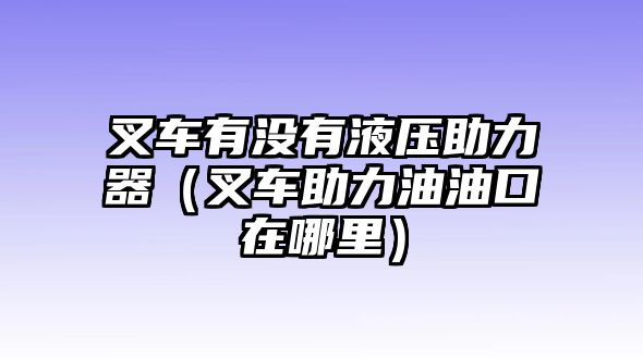 叉車有沒有液壓助力器（叉車助力油油口在哪里）