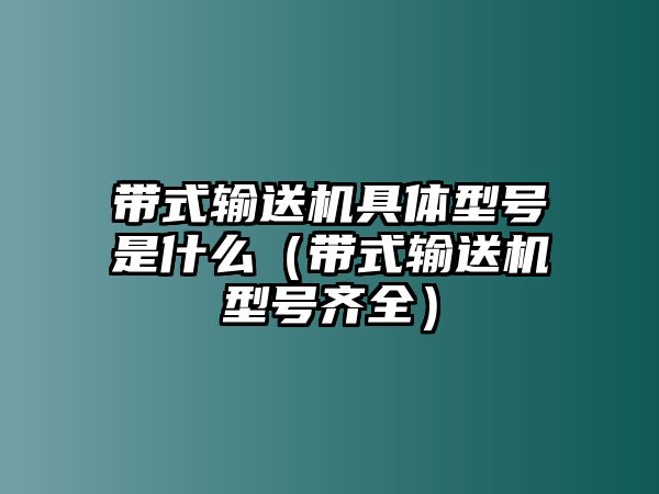 帶式輸送機(jī)具體型號(hào)是什么（帶式輸送機(jī)型號(hào)齊全）