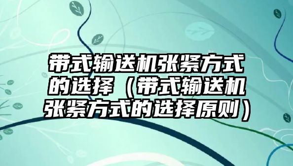 帶式輸送機(jī)張緊方式的選擇（帶式輸送機(jī)張緊方式的選擇原則）