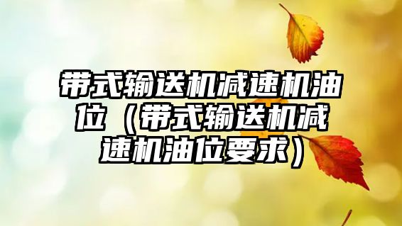 帶式輸送機減速機油位（帶式輸送機減速機油位要求）