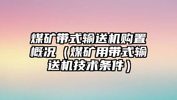 煤礦帶式輸送機(jī)購置概況（煤礦用帶式輸送機(jī)技術(shù)條件）