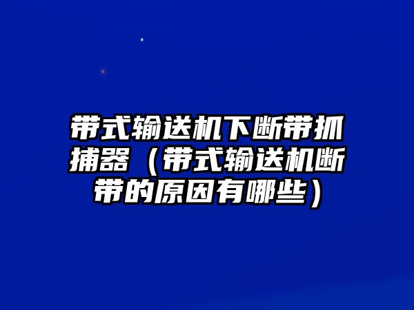 帶式輸送機下斷帶抓捕器（帶式輸送機斷帶的原因有哪些）