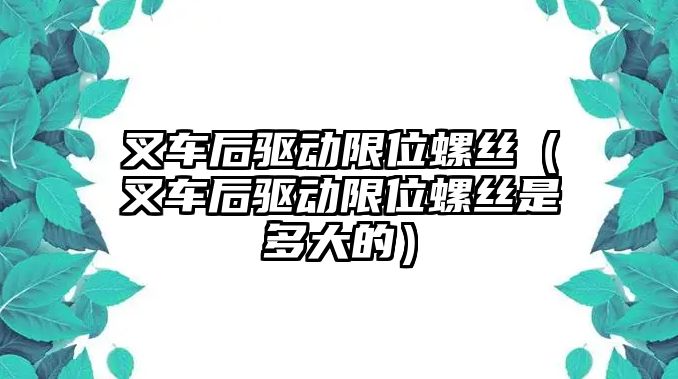 叉車后驅(qū)動限位螺絲（叉車后驅(qū)動限位螺絲是多大的）