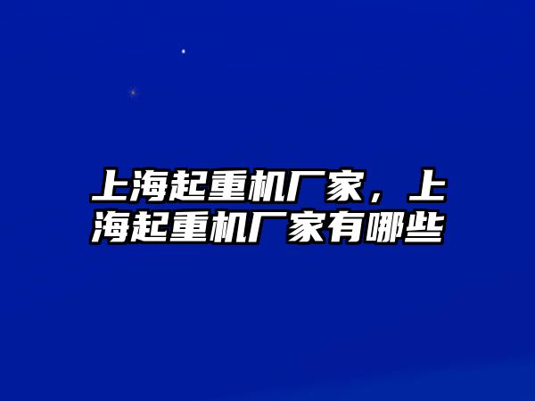 上海起重機(jī)廠家，上海起重機(jī)廠家有哪些