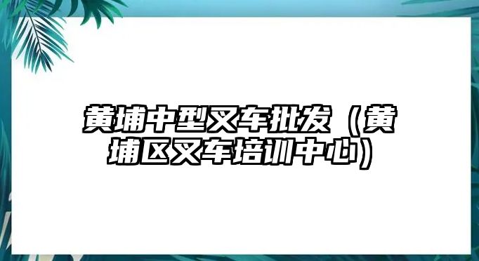 黃埔中型叉車批發(fā)（黃埔區(qū)叉車培訓(xùn)中心）