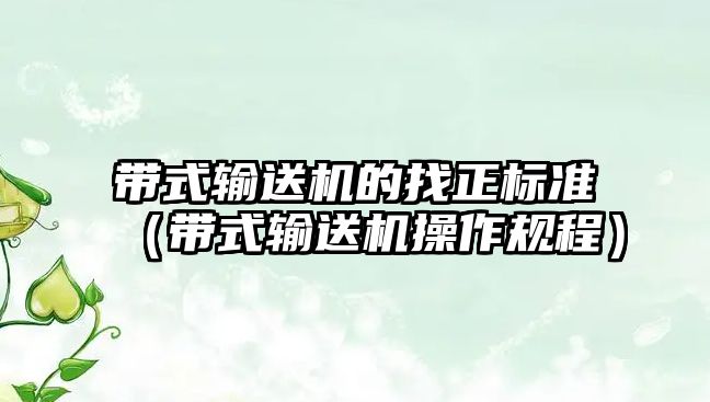 帶式輸送機的找正標(biāo)準(zhǔn)（帶式輸送機操作規(guī)程）