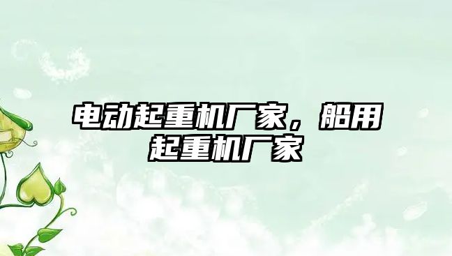 電動起重機廠家，船用起重機廠家