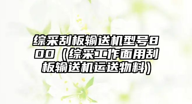 綜采刮板輸送機型號800（綜采工作面用刮板輸送機運送物料）