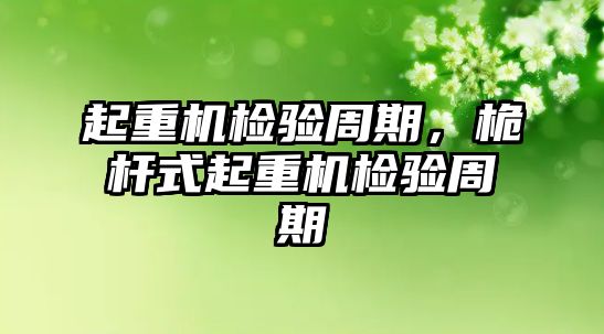 起重機檢驗周期，桅桿式起重機檢驗周期