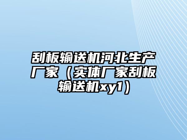 刮板輸送機河北生產(chǎn)廠家（實體廠家刮板輸送機xy1）