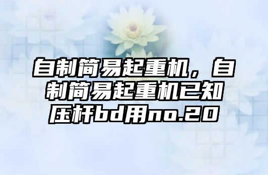 自制簡(jiǎn)易起重機(jī)，自制簡(jiǎn)易起重機(jī)已知壓桿bd用no.20