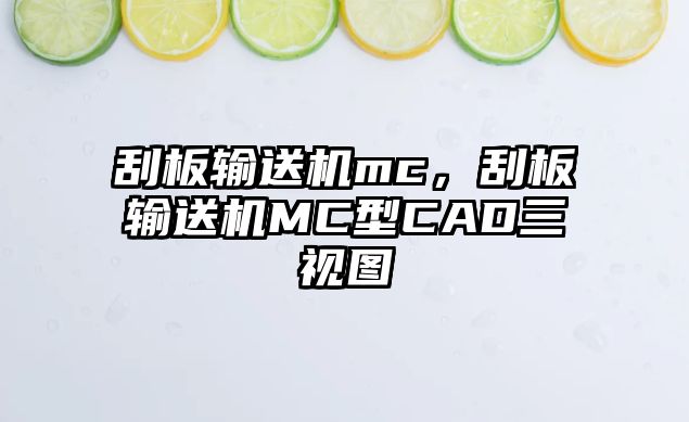 刮板輸送機mc，刮板輸送機MC型CAD三視圖