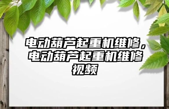 電動葫蘆起重機維修，電動葫蘆起重機維修視頻