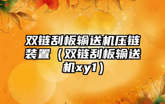 雙鏈刮板輸送機壓鏈裝置（雙鏈刮板輸送機xy1）