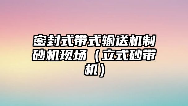 密封式帶式輸送機制砂機現(xiàn)場（立式砂帶機）