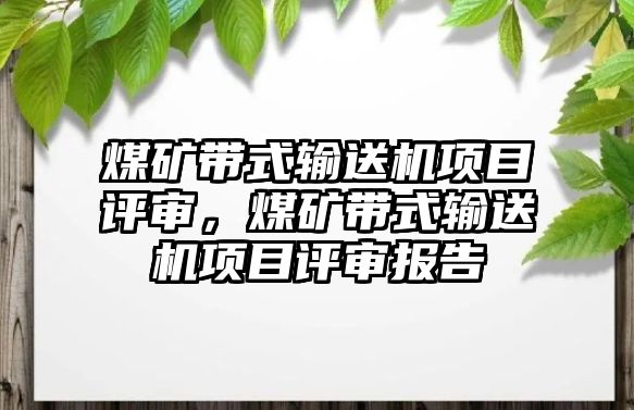 煤礦帶式輸送機(jī)項目評審，煤礦帶式輸送機(jī)項目評審報告