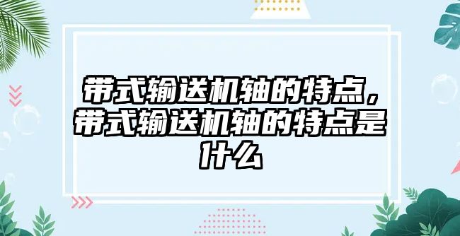 帶式輸送機(jī)軸的特點(diǎn)，帶式輸送機(jī)軸的特點(diǎn)是什么