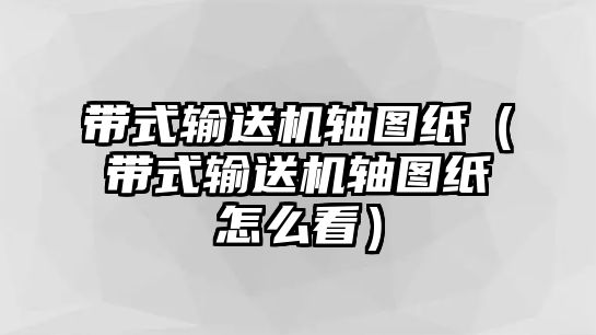 帶式輸送機(jī)軸圖紙（帶式輸送機(jī)軸圖紙怎么看）