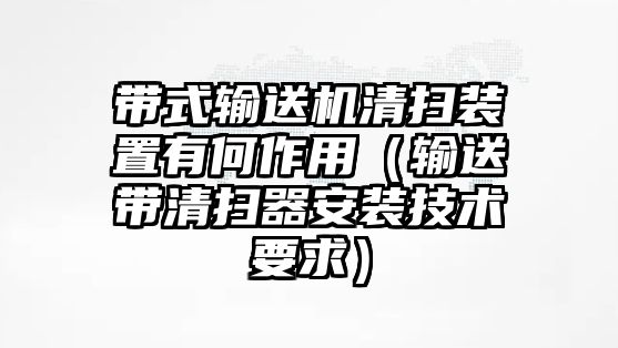 帶式輸送機(jī)清掃裝置有何作用（輸送帶清掃器安裝技術(shù)要求）