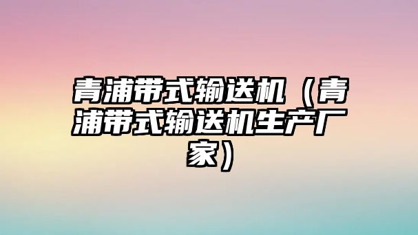 青浦帶式輸送機(jī)（青浦帶式輸送機(jī)生產(chǎn)廠家）