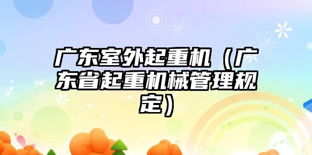 廣東室外起重機（廣東省起重機械管理規(guī)定）