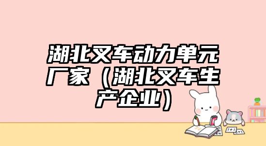 湖北叉車動力單元廠家（湖北叉車生產(chǎn)企業(yè)）