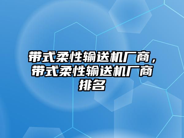 帶式柔性輸送機廠商，帶式柔性輸送機廠商排名