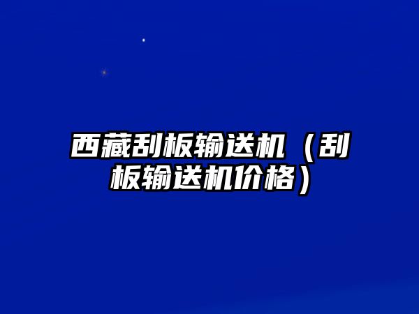 西藏刮板輸送機(jī)（刮板輸送機(jī)價(jià)格）