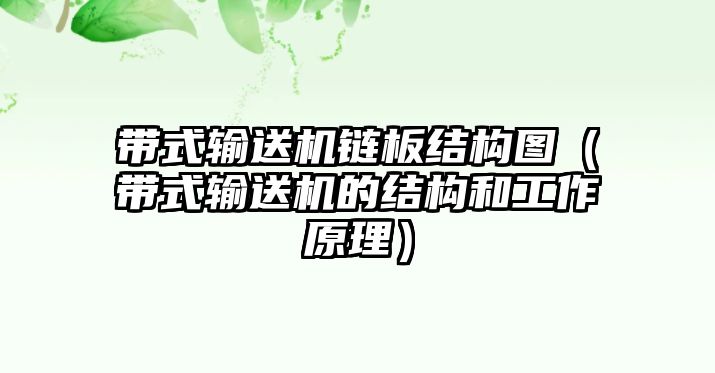 帶式輸送機鏈板結構圖（帶式輸送機的結構和工作原理）