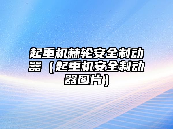 起重機(jī)棘輪安全制動器（起重機(jī)安全制動器圖片）