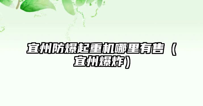 宜州防爆起重機哪里有售（宜州爆炸）