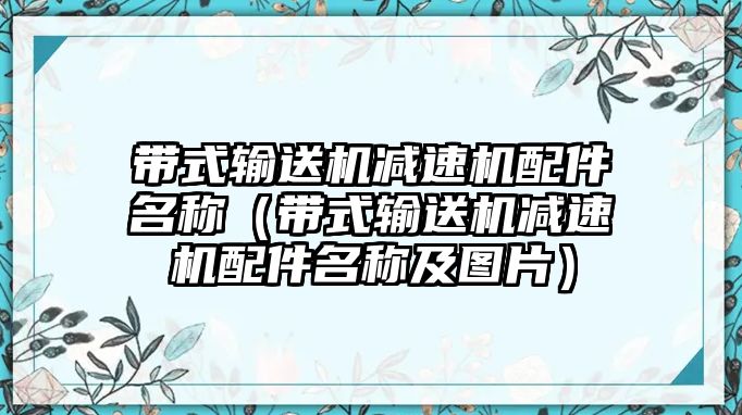 帶式輸送機(jī)減速機(jī)配件名稱(chēng)（帶式輸送機(jī)減速機(jī)配件名稱(chēng)及圖片）