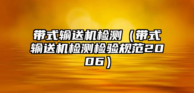 帶式輸送機檢測（帶式輸送機檢測檢驗規(guī)范2006）