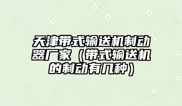 天津帶式輸送機制動器廠家（帶式輸送機的制動有幾種）