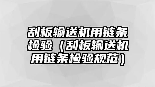 刮板輸送機用鏈條檢驗（刮板輸送機用鏈條檢驗規(guī)范）