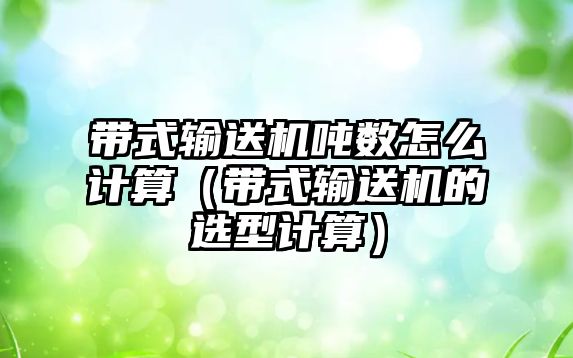 帶式輸送機噸數(shù)怎么計算（帶式輸送機的選型計算）