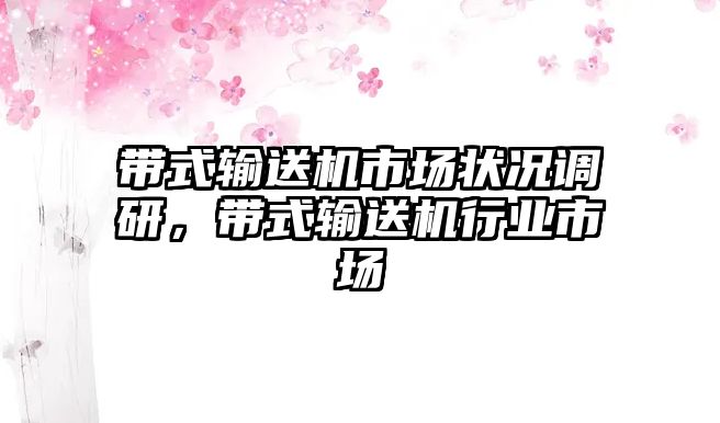 帶式輸送機(jī)市場(chǎng)狀況調(diào)研，帶式輸送機(jī)行業(yè)市場(chǎng)