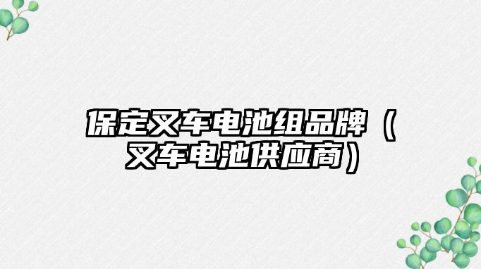 保定叉車電池組品牌（叉車電池供應商）