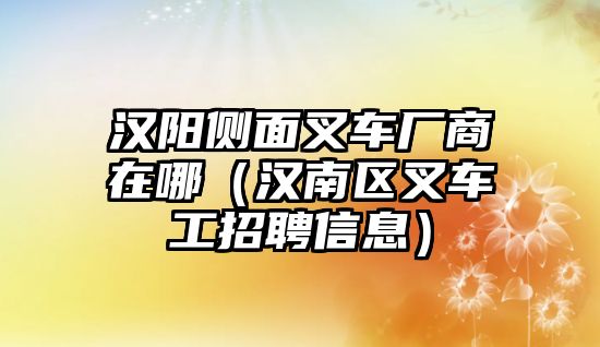 漢陽側(cè)面叉車廠商在哪（漢南區(qū)叉車工招聘信息）