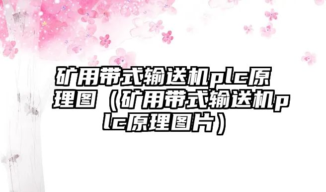 礦用帶式輸送機(jī)plc原理圖（礦用帶式輸送機(jī)plc原理圖片）