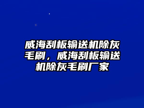 威海刮板輸送機(jī)除灰毛刷，威海刮板輸送機(jī)除灰毛刷廠家