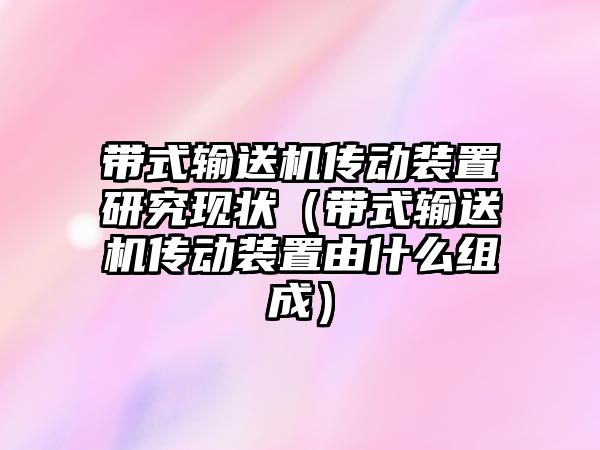 帶式輸送機傳動裝置研究現(xiàn)狀（帶式輸送機傳動裝置由什么組成）