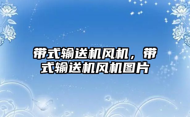 帶式輸送機(jī)風(fēng)機(jī)，帶式輸送機(jī)風(fēng)機(jī)圖片