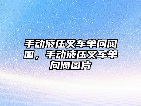 手動液壓叉車單向閥圖，手動液壓叉車單向閥圖片