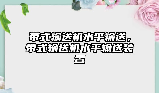 帶式輸送機水平輸送，帶式輸送機水平輸送裝置