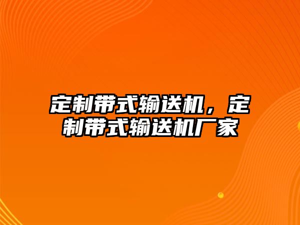 定制帶式輸送機，定制帶式輸送機廠家