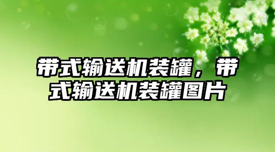 帶式輸送機裝罐，帶式輸送機裝罐圖片