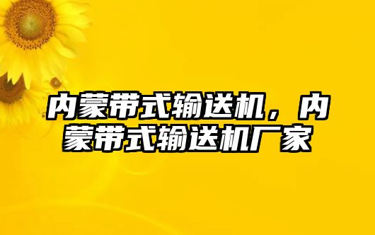 內(nèi)蒙帶式輸送機，內(nèi)蒙帶式輸送機廠家