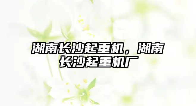 湖南長(zhǎng)沙起重機(jī)，湖南長(zhǎng)沙起重機(jī)廠(chǎng)